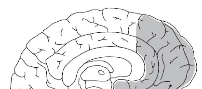 Βιβλίο για τον εγκέφαλο που διαβάζεται στο διαδίκτυο Ροκ πώς να χρησιμοποιήσετε τον εγκέφαλο